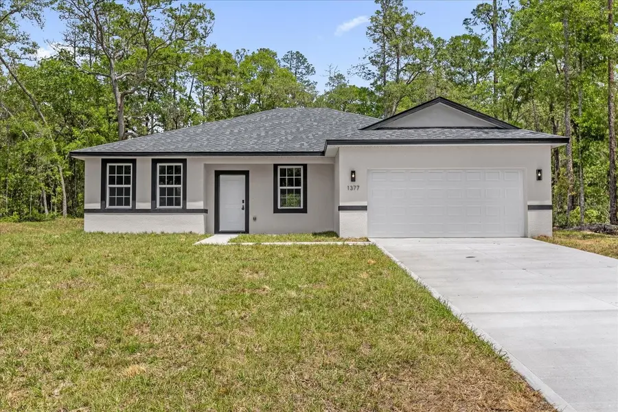 1377 W ALEXANDER DR, Citrus Springs, FL 34434