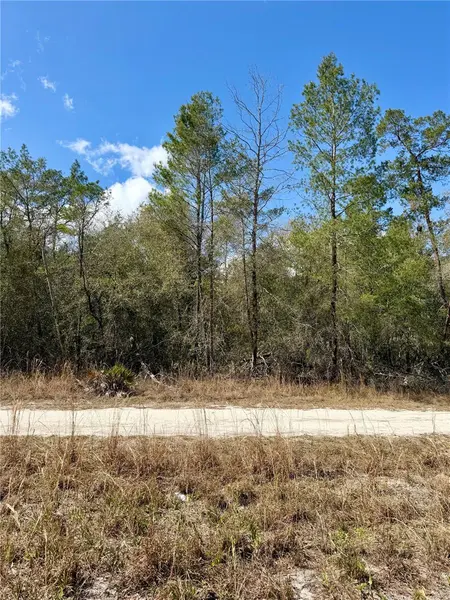 TBD NE 110TH CT, Fort Mc Coy, FL 32134