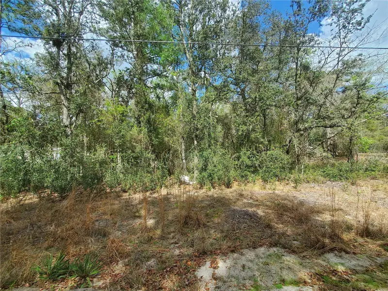 NE 172ND PL LOT 11, Fort Mc Coy, FL 32134