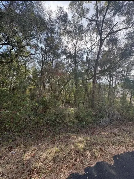 TBD LOCUST LOOP TER, Ocala, FL 34472