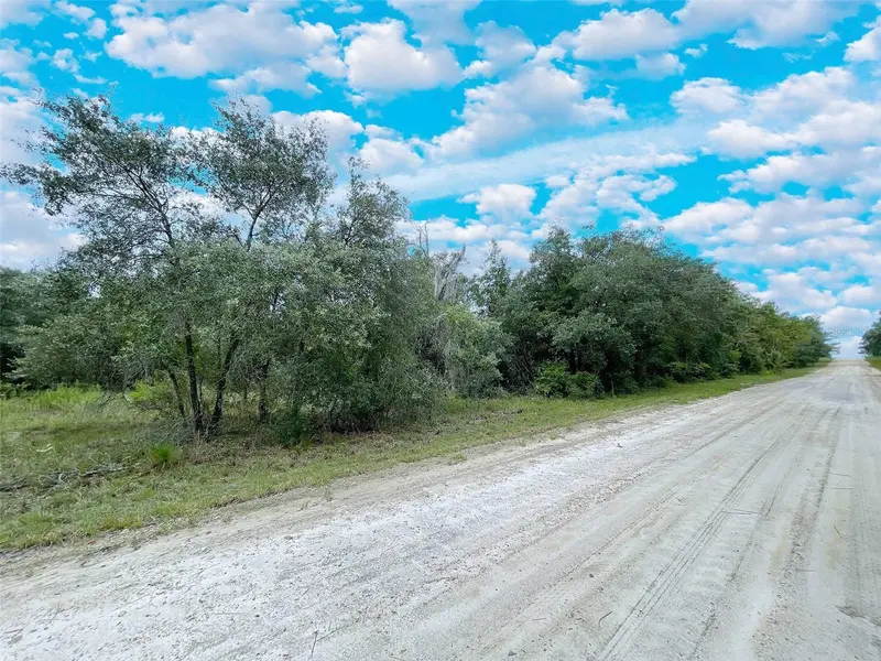 TBD NE 85TH ST, Bronson, FL 32621