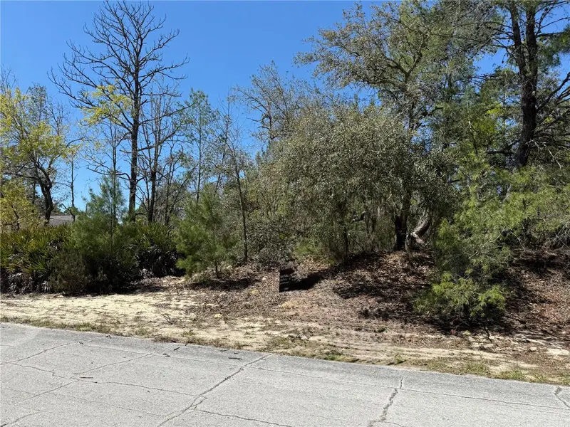 10762 N MORENO DR, Dunnellon, FL 34433
