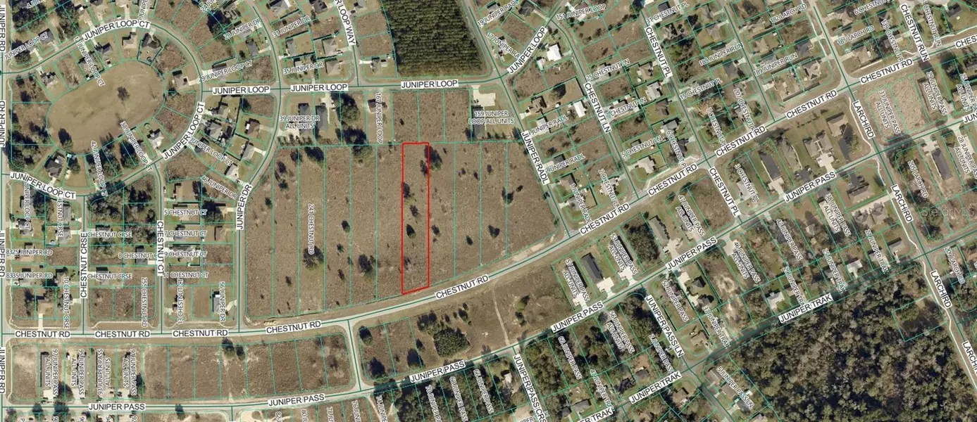 CHESTNUT RD, Ocala, FL 34480