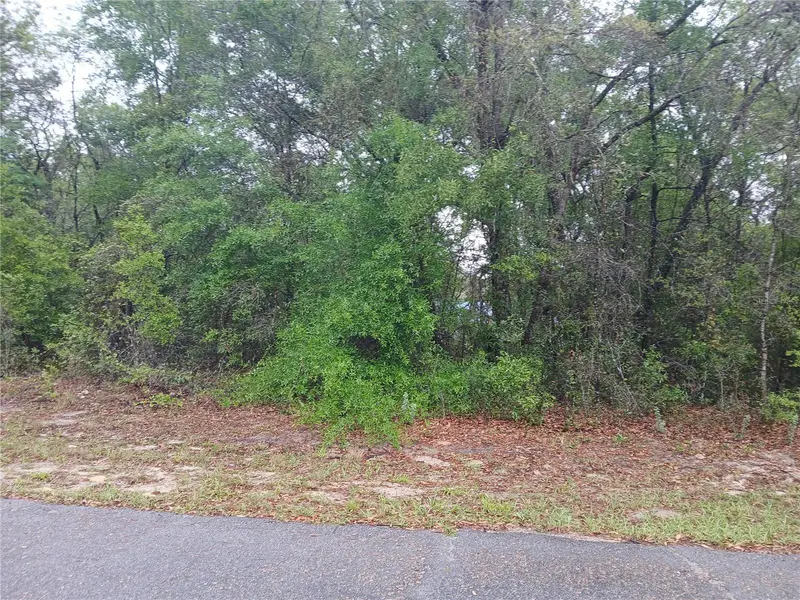 7851 N VINCE DR, Citrus Springs, FL 34434