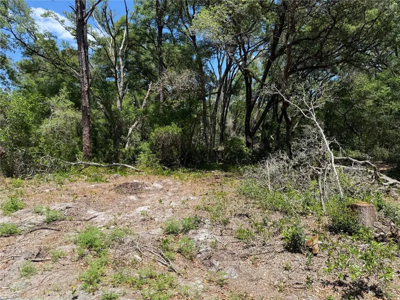 FISCHER LANE CT, Ocklawaha, FL 32179