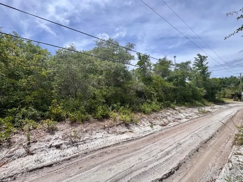 NE 306TH TER, Salt Springs, FL 32134