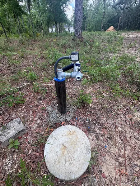 TBD NE 16TH PL, Williston, FL 32696