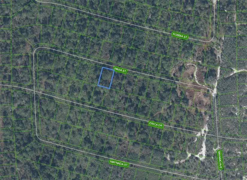 8655 PAVIA ST, Sebring, FL 33872