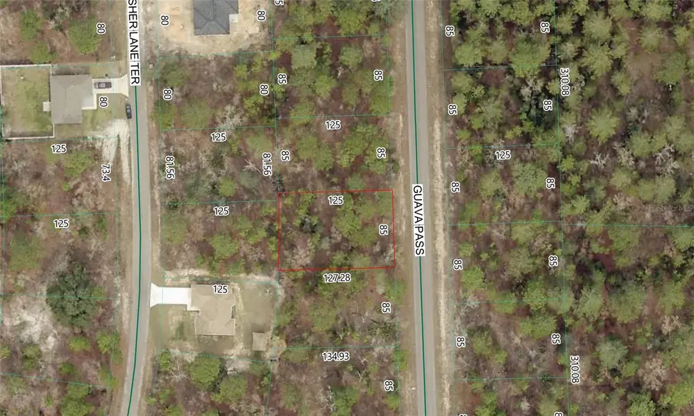GUAVA PASS LOT 10, Ocklawaha, FL 32179
