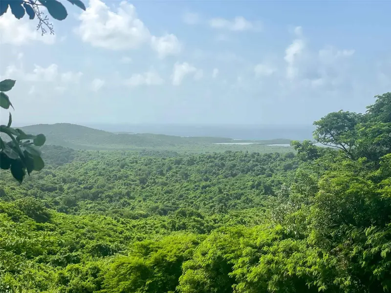 309 CALLE PAPO FOSTER, Vieques, PR 00765