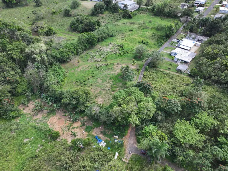 CARR 448, Camuy, PR 00627