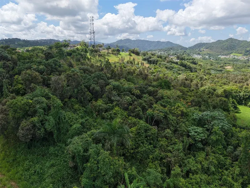 PR 7718 KM 3.6 PASTO WARD, Aibonito, PR 00705