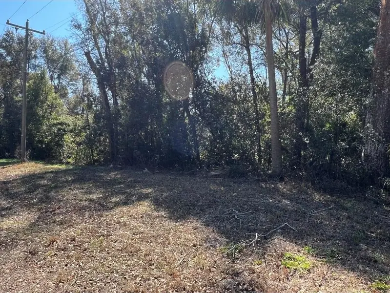 PALACKY ST, Brooksville, FL 34604