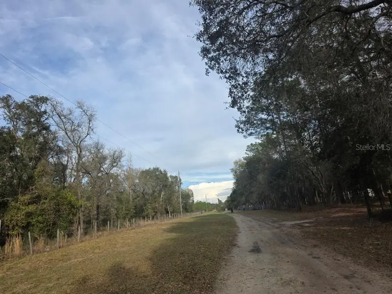 NE 62 PL, Williston, FL 32696