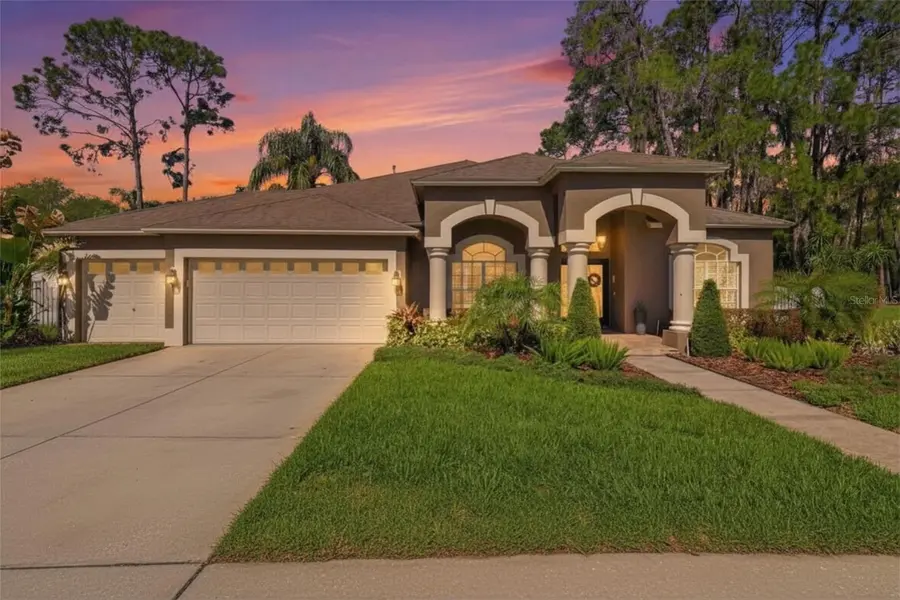 3629 WHISTLING LN, Land O Lakes, FL 34639