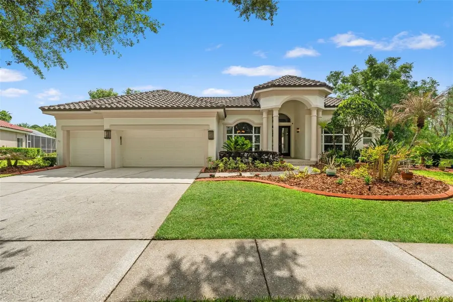 17905 ARBOR GREENE DR, Tampa, FL 33647