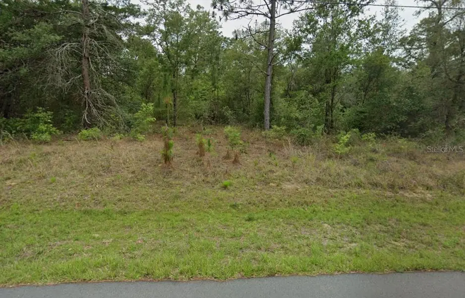 3054 W HAMLET PL, Citrus Springs, FL 34433