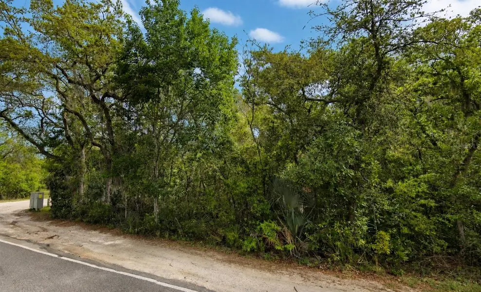 NE 154TH PL, Fort Mc Coy, FL 32134