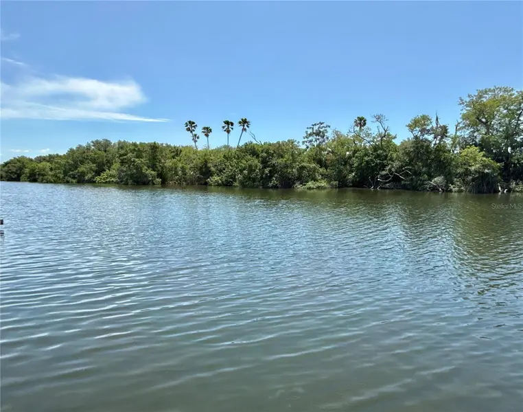 460 MOUNT OAK AVE NE #745, St Petersburg, FL 33702
