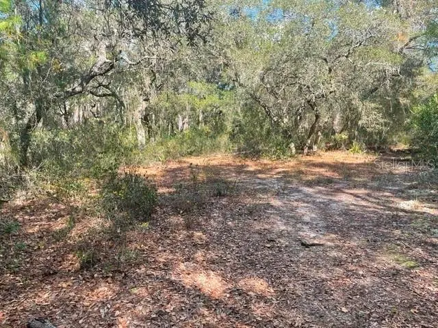 9345 SE 195TH AVE, Ocklawaha, FL 32179