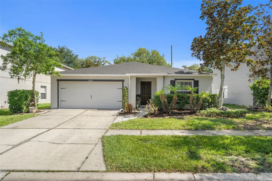 30855 TEMPLE STAND AVE, Wesley Chapel, FL 33543