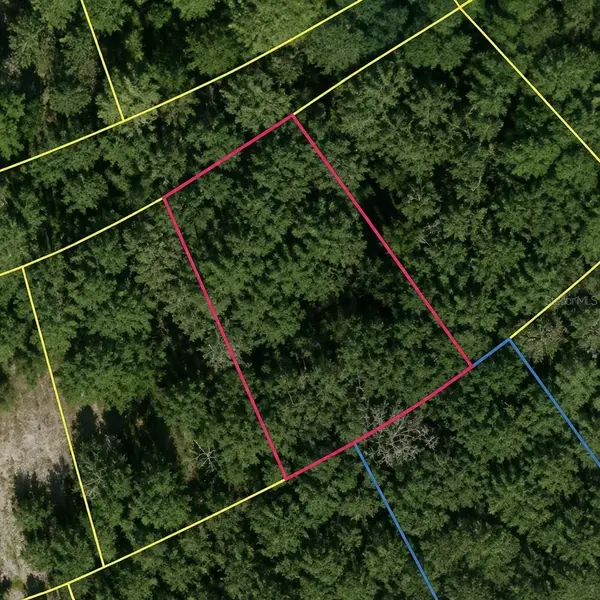 SE FISCHER LANE DR, Ocklawaha, FL 32179