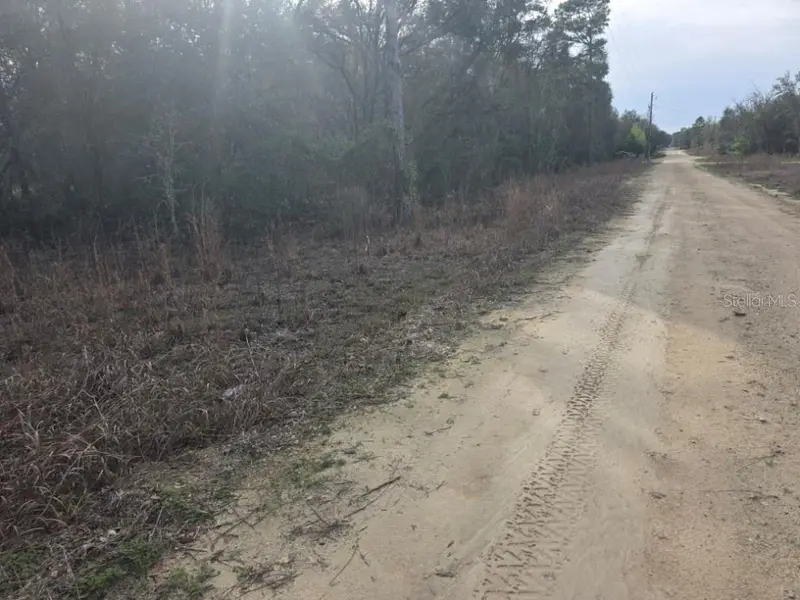 NE 60 PL, Bronson, FL 32621