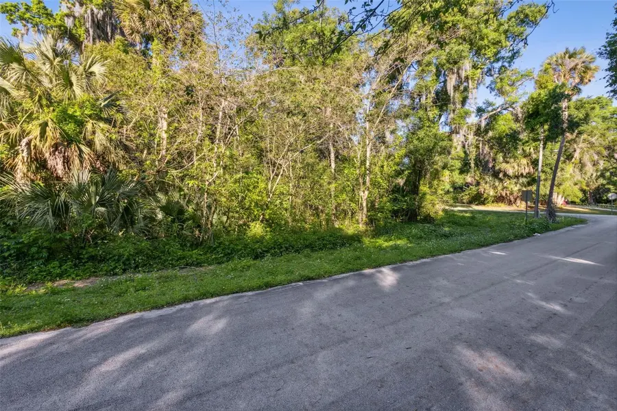 Lot 13 QUEBEC AVE, De Leon Springs, FL 32130