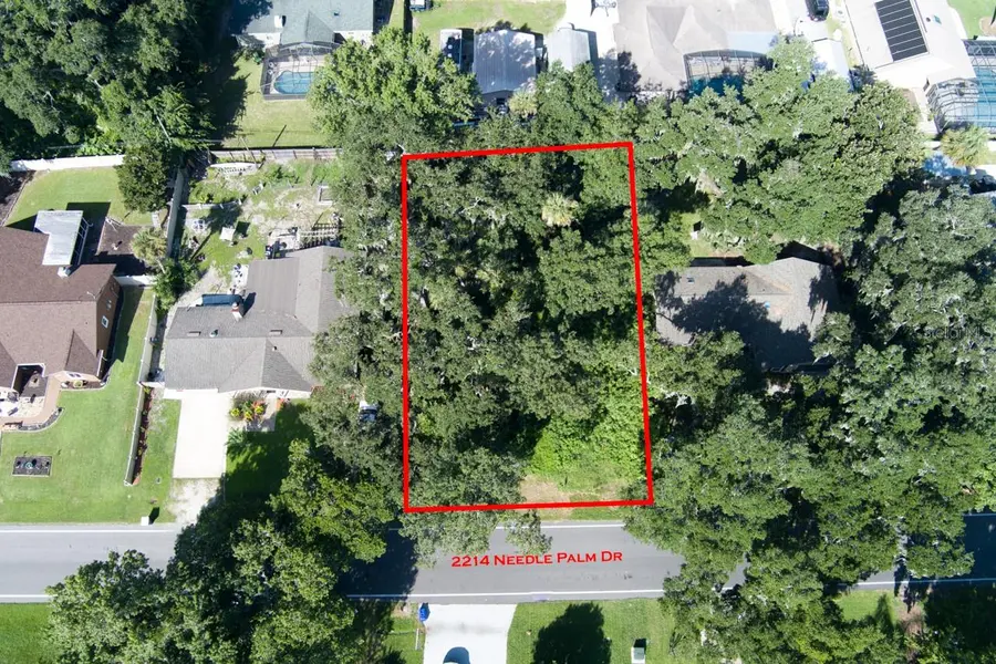 2214 NEEDLE PALM DR, Edgewater, FL 32141