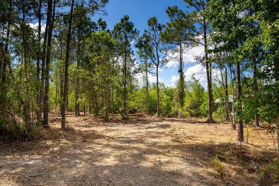 3770 BALSAM CT, Ormond Beach, FL 32174