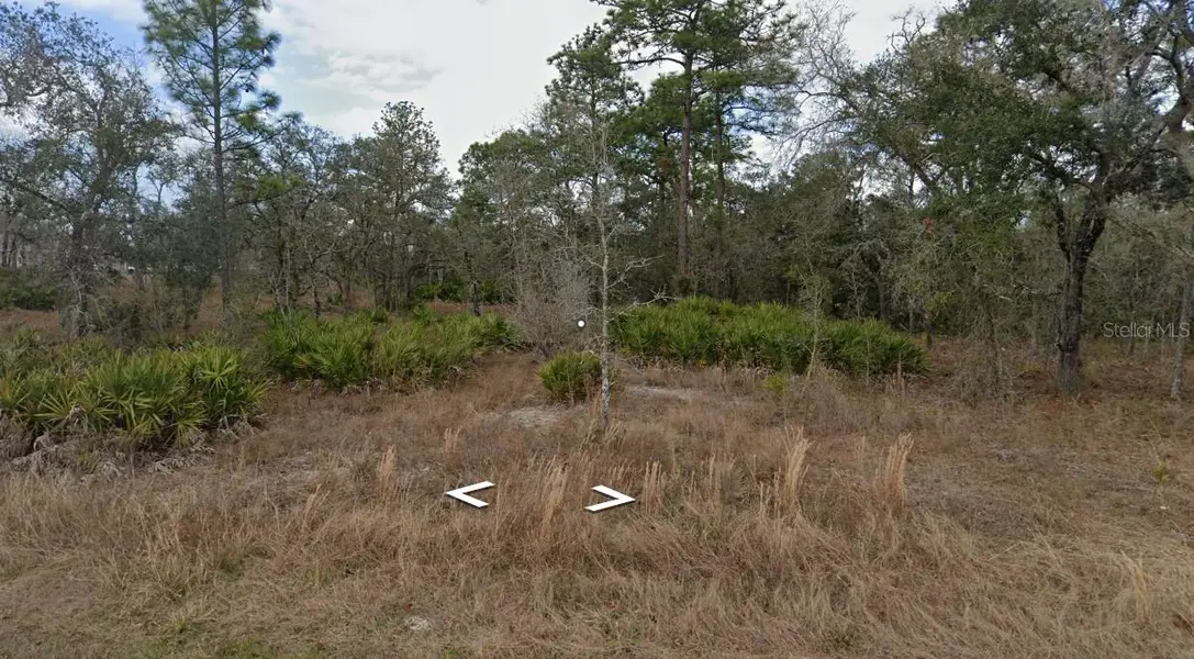 11353 QUILL AVE, Brooksville, FL 34614