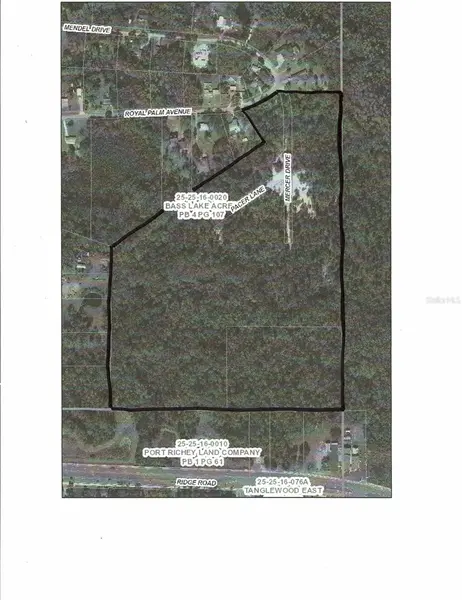 0 ROYAL PALM AVE, New Port Richey, FL 34654