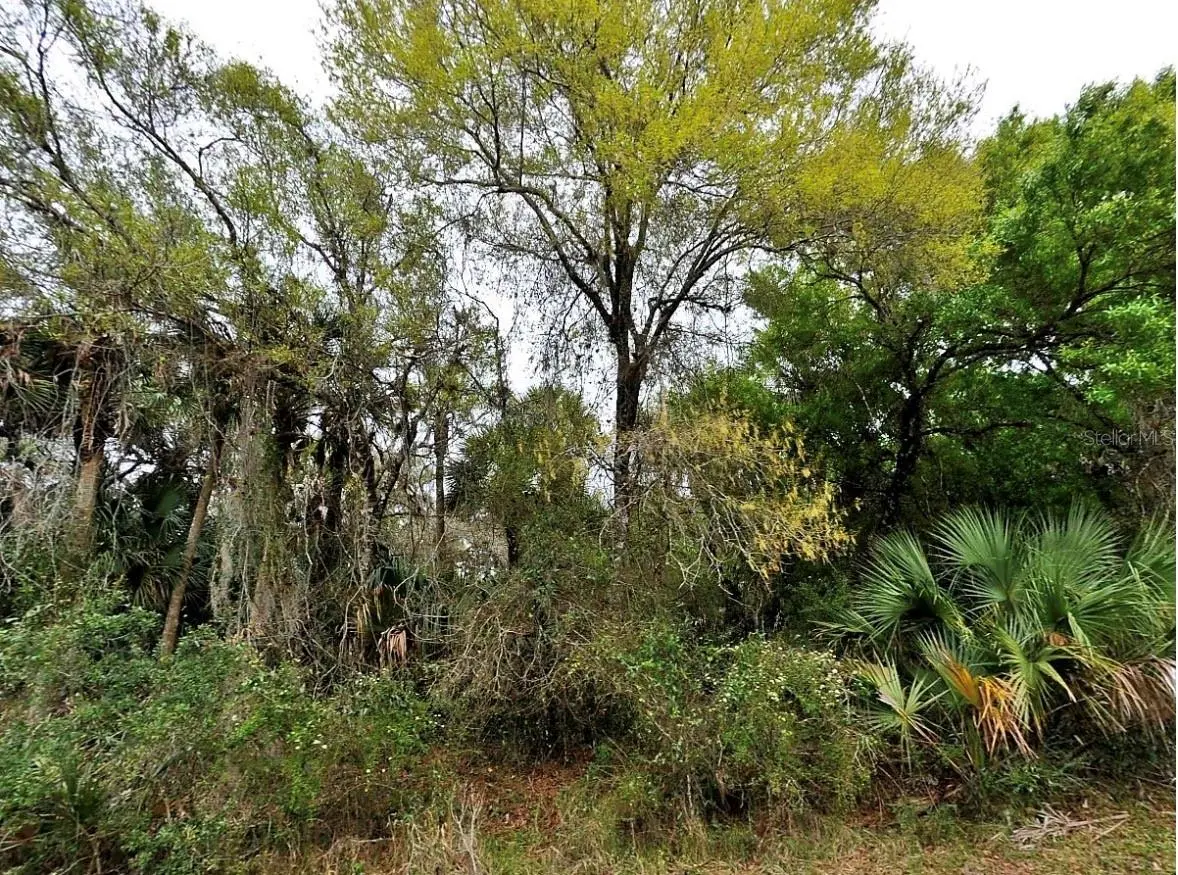 BACKERT RD., North Port, FL 34291