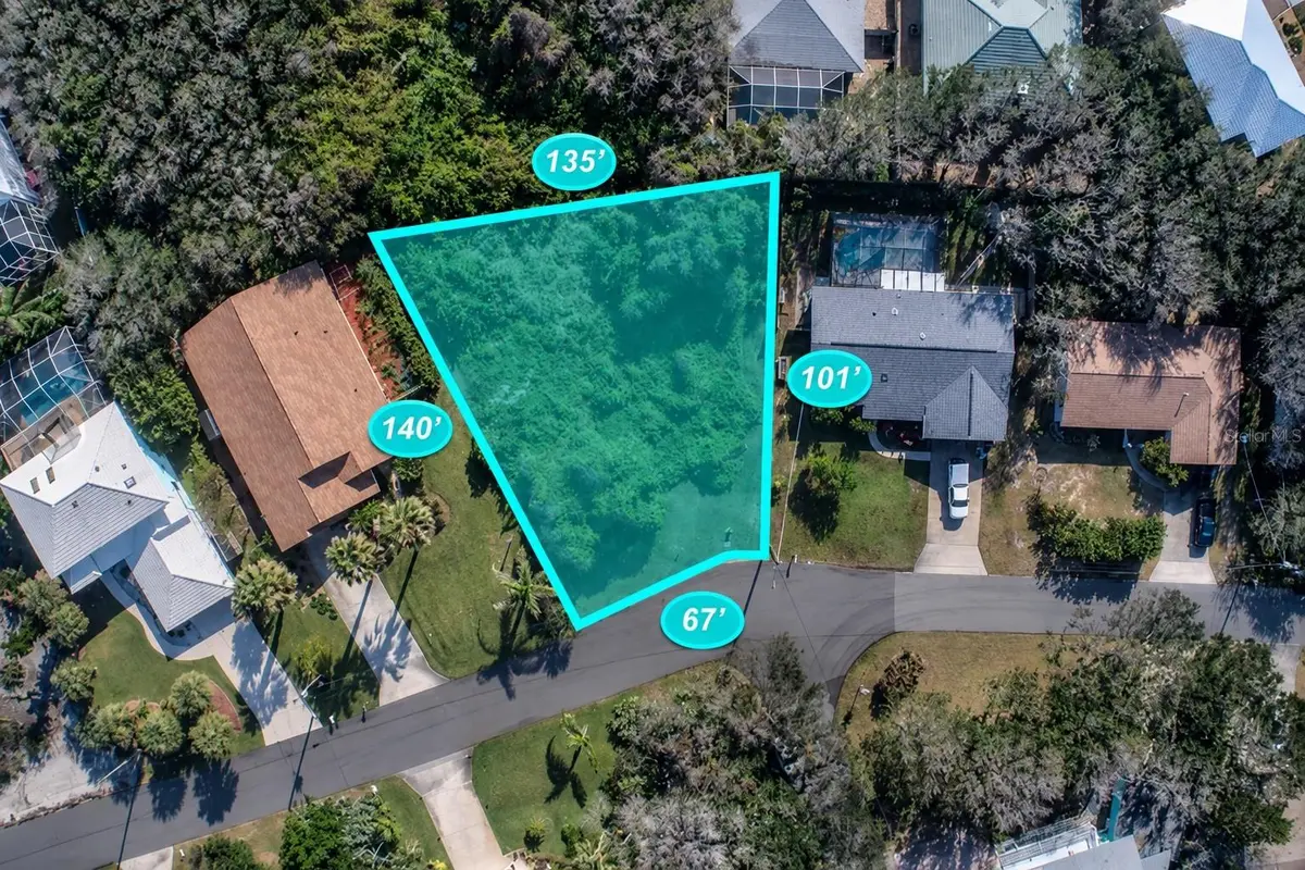 67 ALBERTA AVE, Ponce Inlet, FL 32127