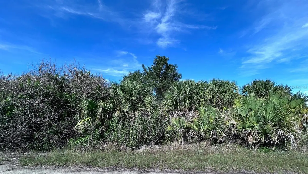 BIGFLOWER AVE, North Port, FL 34288