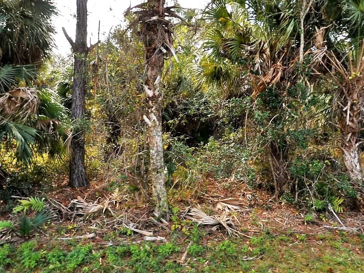 VOGLER LN, North Port, FL 34286