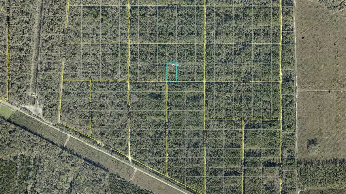 21-10-28-2775-00040-1020 OLSON ST, Hastings, FL 32145