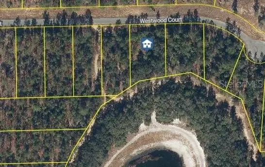 115 WESTWOOD CT, Interlachen, FL 32148