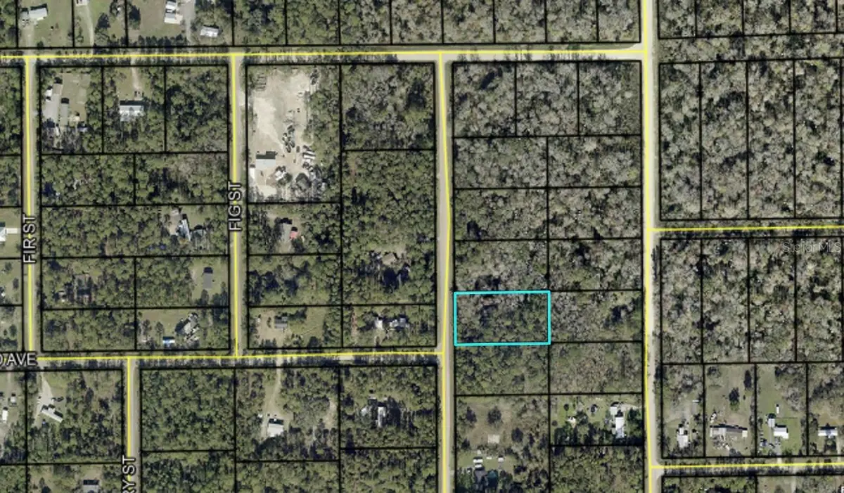 2157 GROVE ST, Bunnell, FL 32110