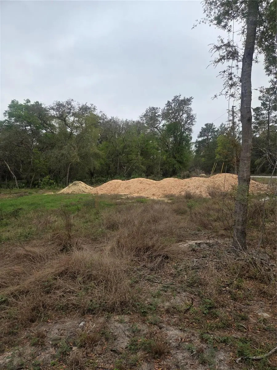 127 SEQUOIA TRL, Ocklawaha, FL 32179