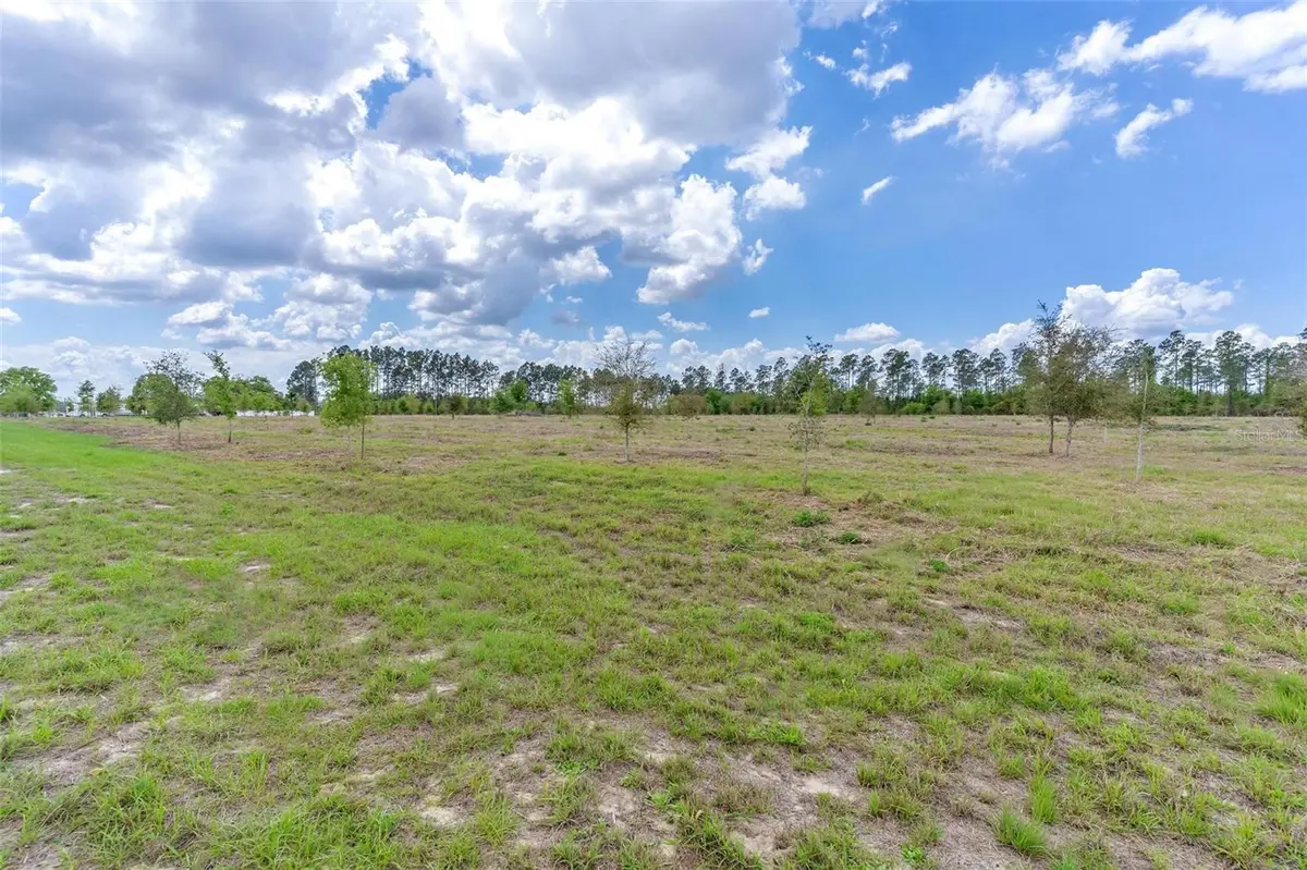 SE 170TH AVE, Weirsdale, FL 32195