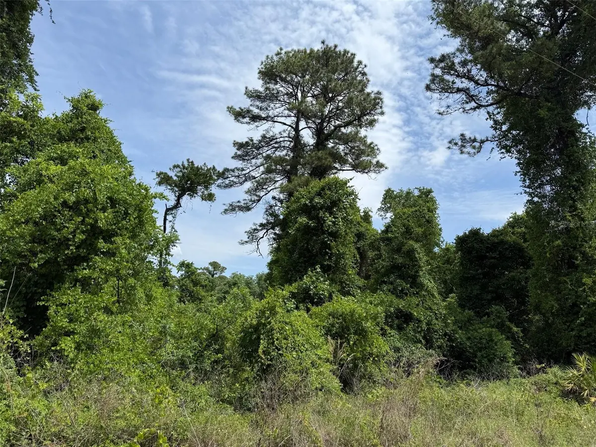 000 FOLKLORE DR, Satsuma, FL 32189