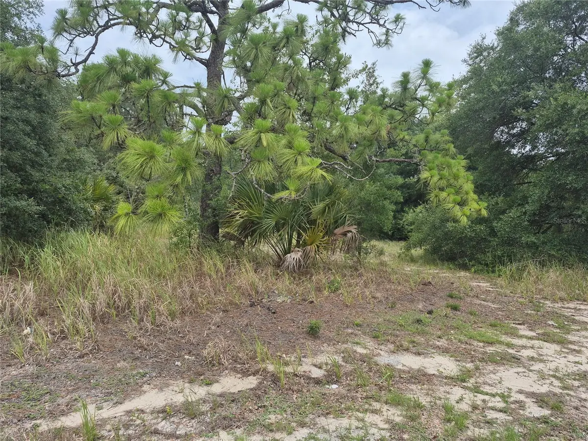 1626 S US 301, Sumterville, FL 33585