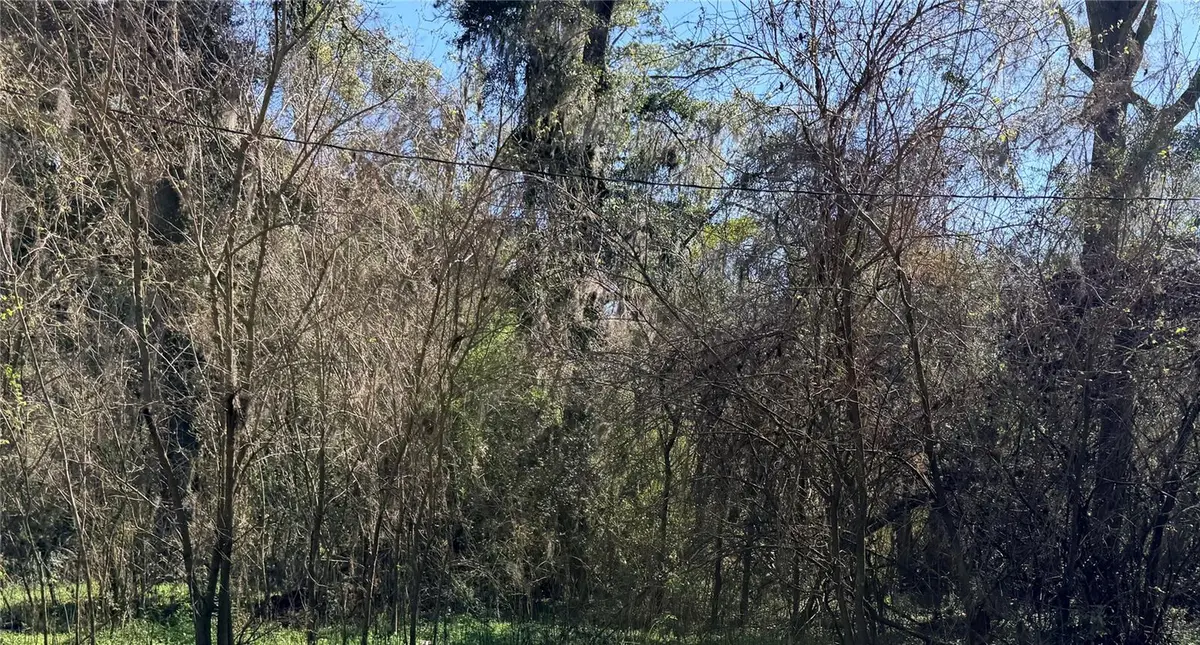 TBD PLATTED ROAD WAY, Alachua, FL 32615