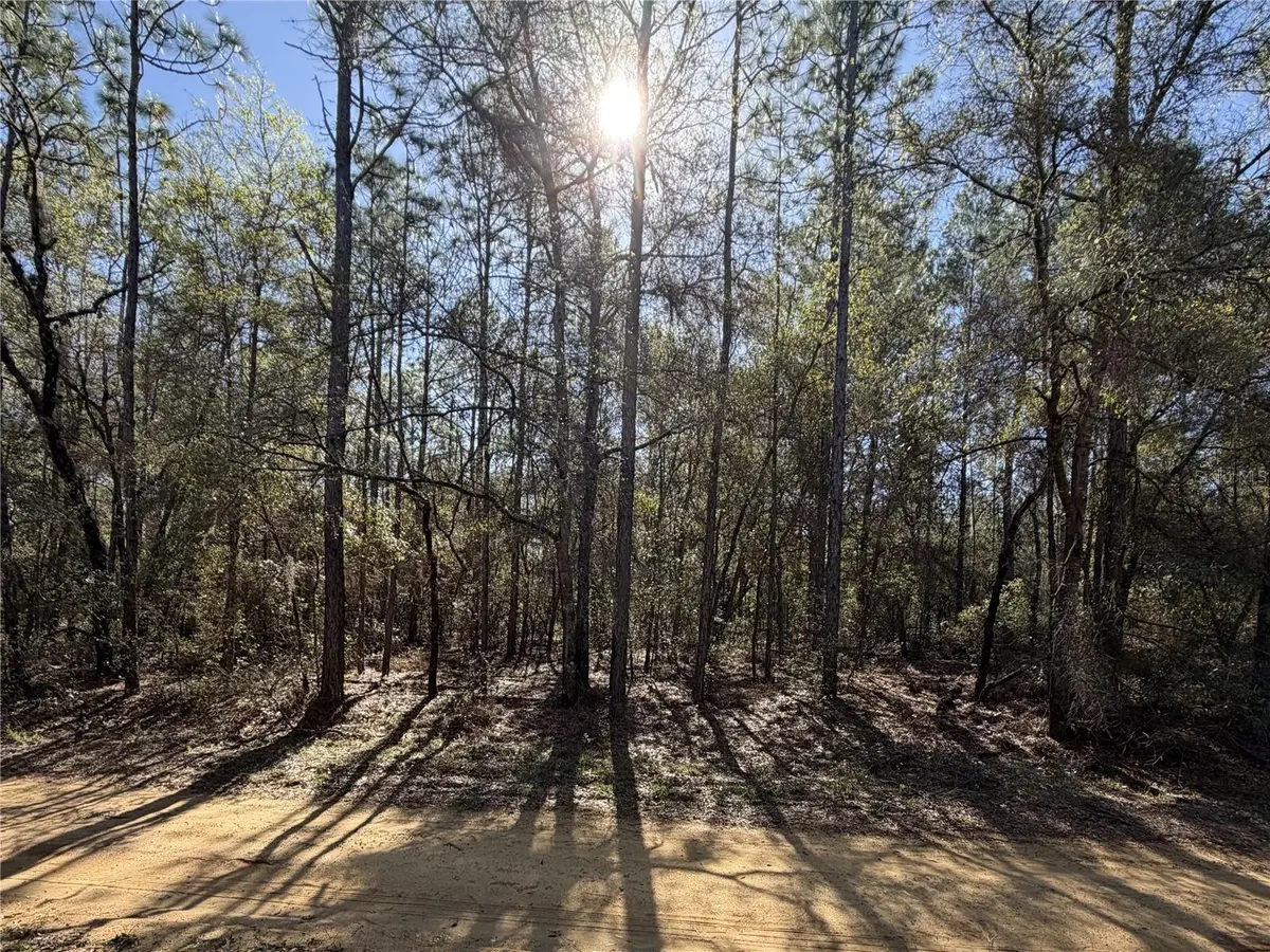 SE 7TH AVE, Interlachen, FL 32148
