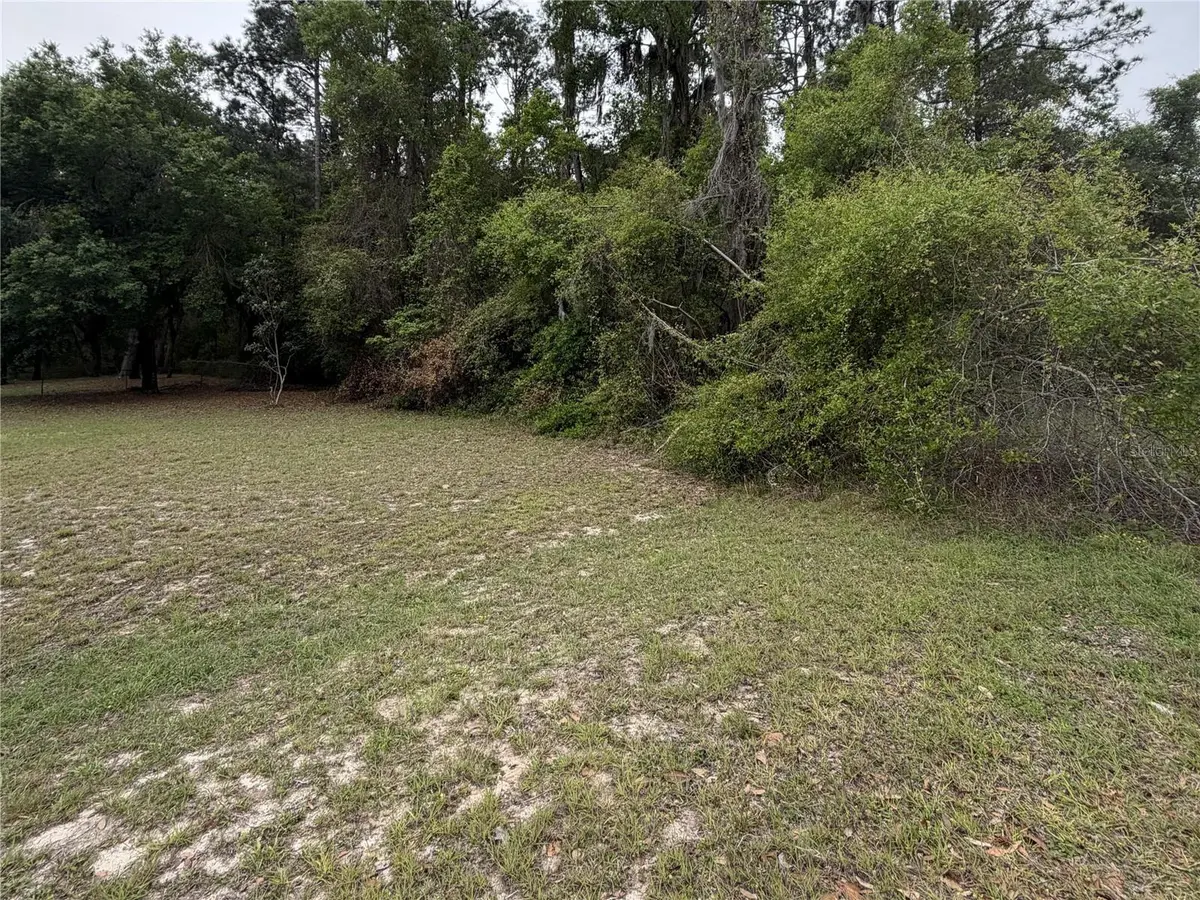 24615 SE 101ST AVE, Hawthorne, FL 32640