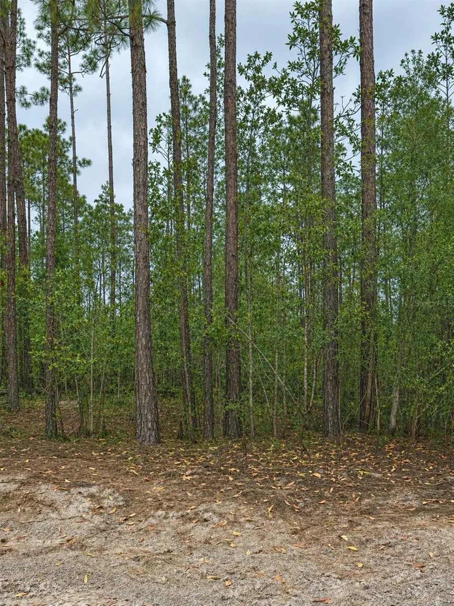 TBD NW 2ND AVE, Palatka, FL 32177
