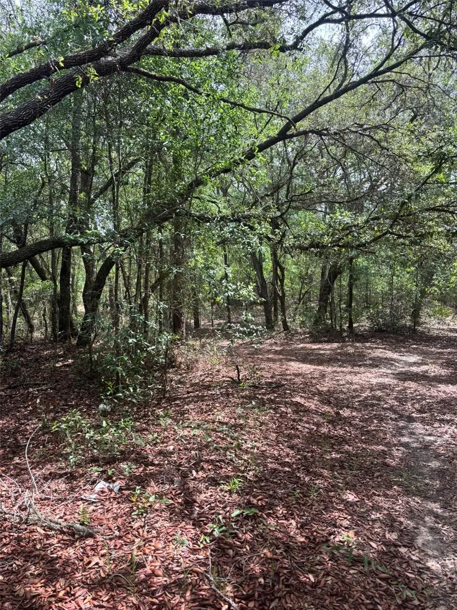 83RD LN, Bronson, FL 32621
