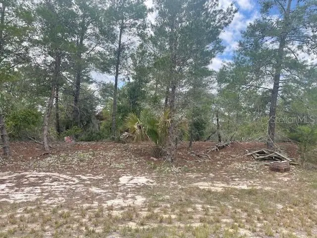 1342 HOMOSASSA DR, Poinciana, FL 34759