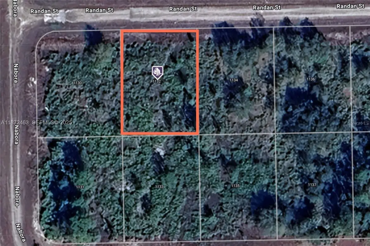 1132 RANDAN ST E, Lehigh Acres, FL 33974